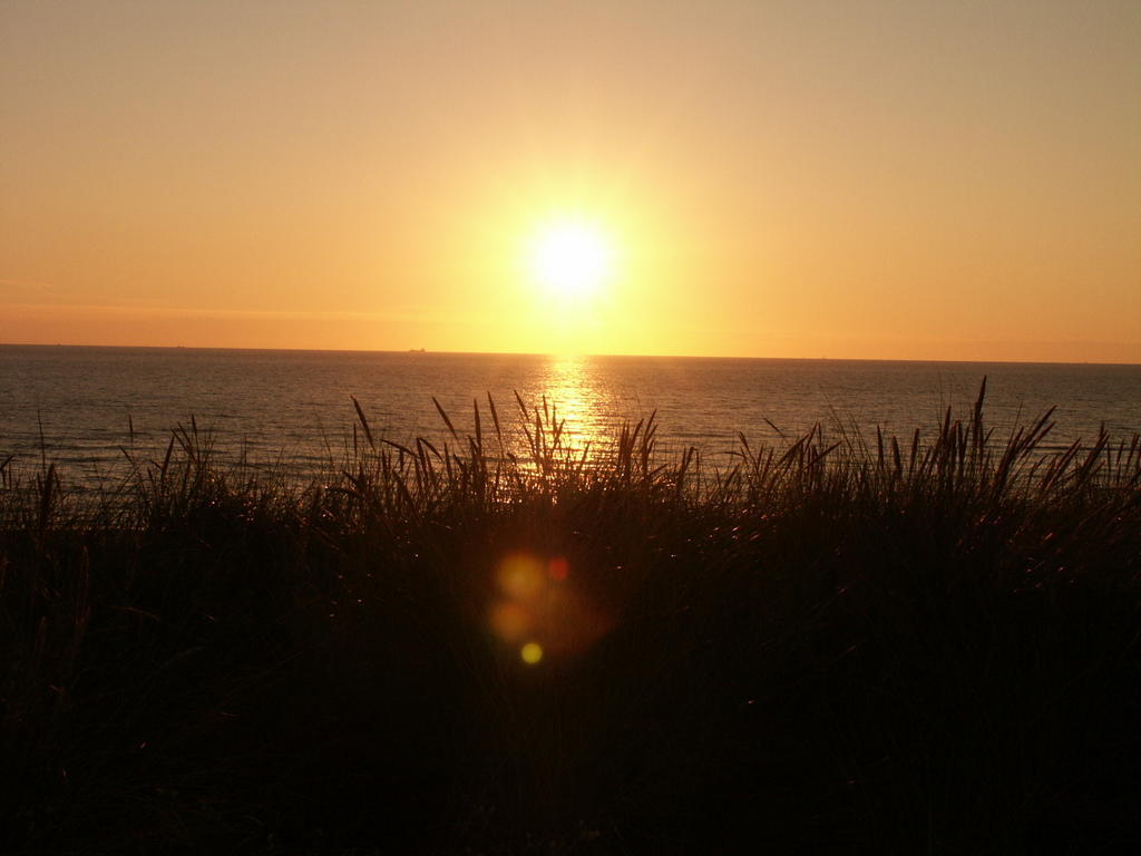 Westenwind Egmond aan Zee Exterior foto